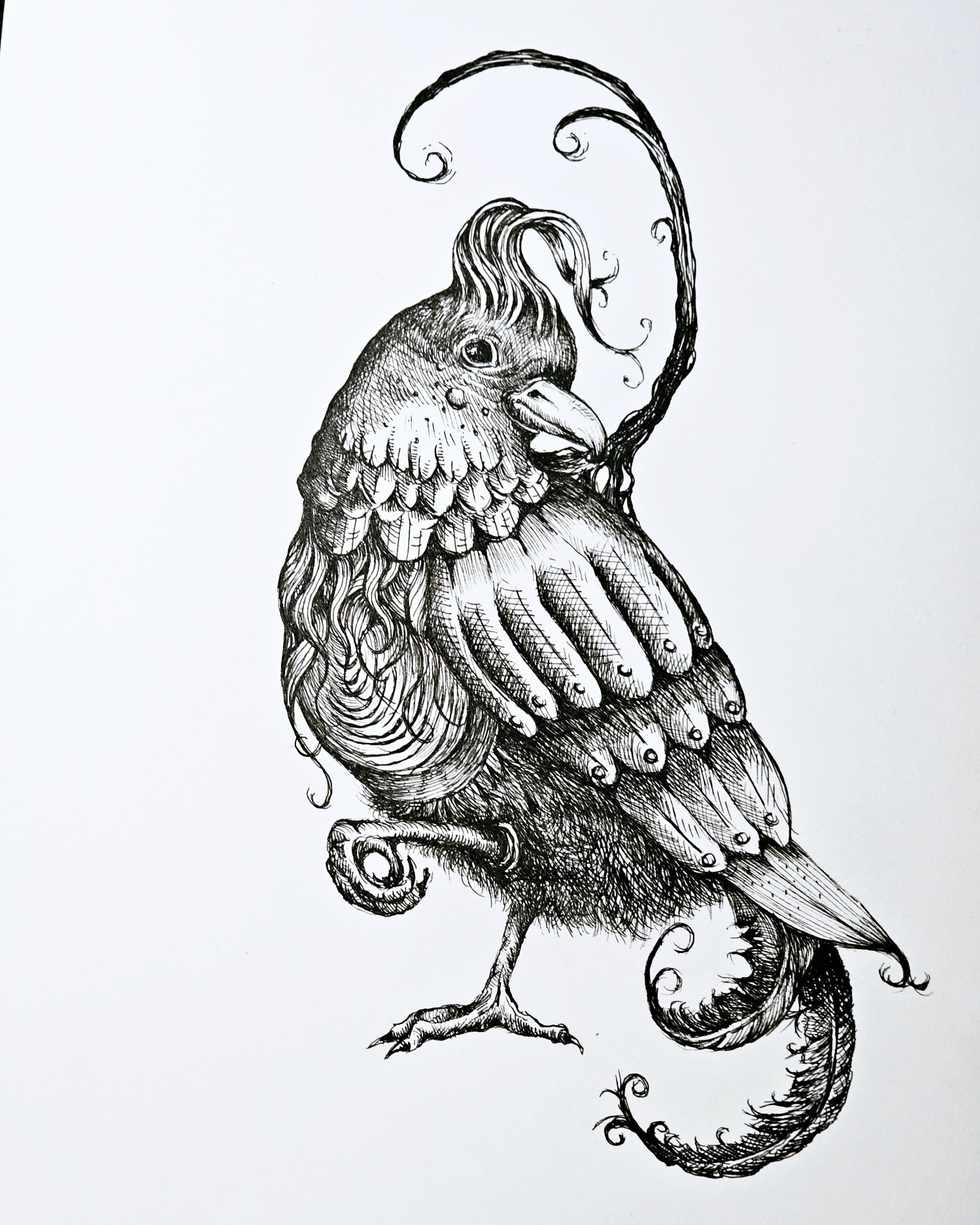 Anna Eggenhuizen- Fancy Pants