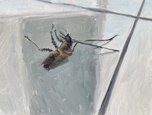 Kimberly Swan ' Roach'